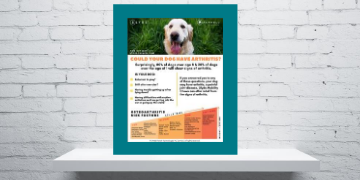 Dog Arthritis Checklist Printable