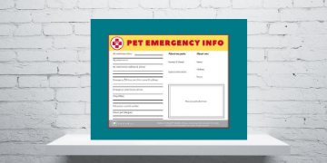 Pet Emergency Info Sheet Printable