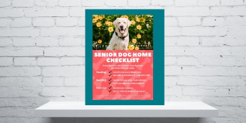 Senior Dog Home Checklist Printable
