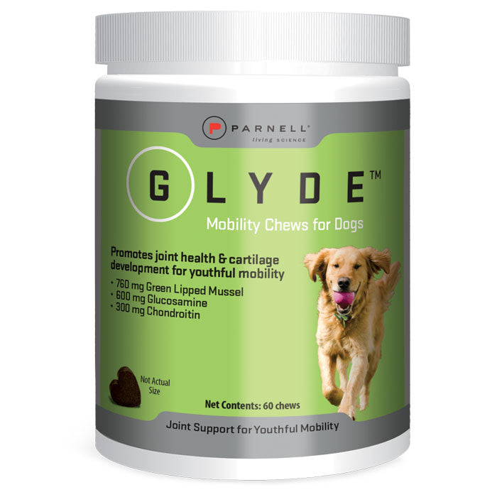 Dog Hip and Joint Supplements | Glyde Mobility Chews