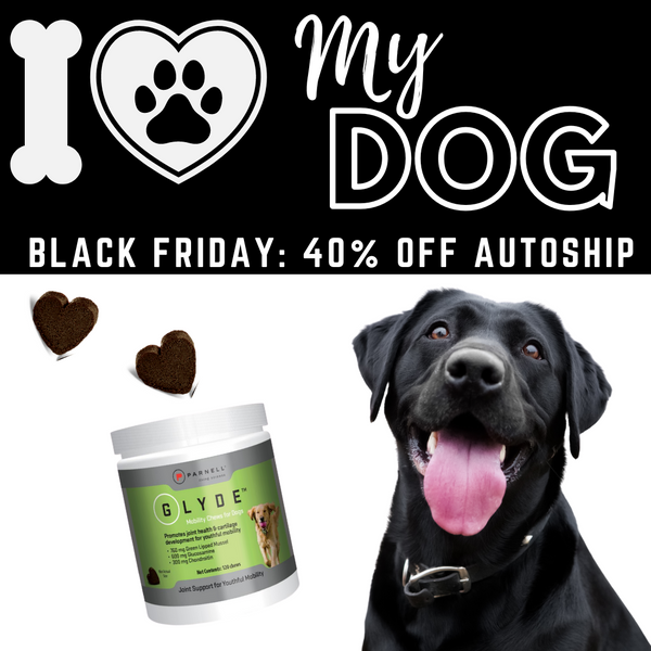 Dog Hip and Joint Supplements Glyde Mobility Chews