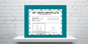 Pet Birth Certificate Printable